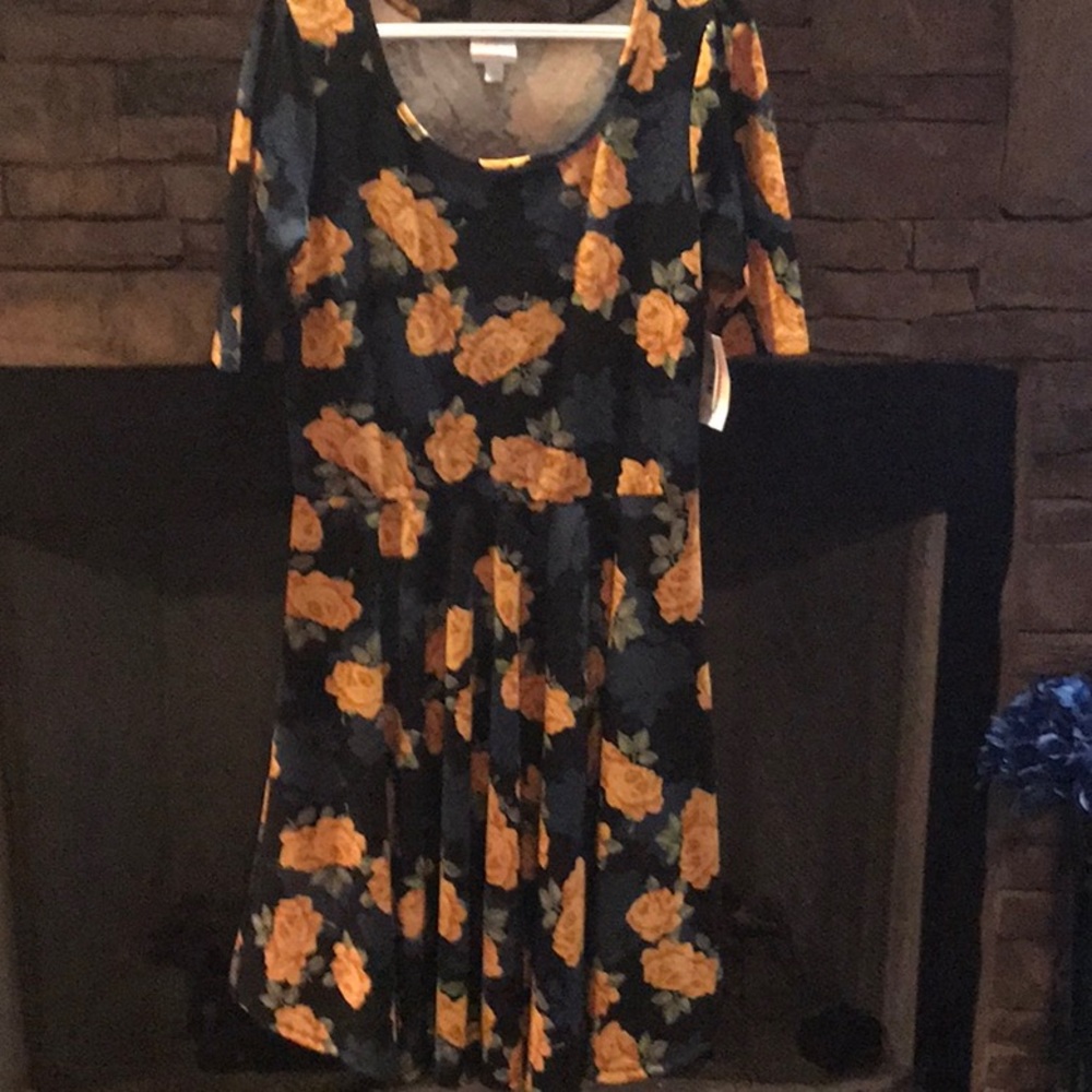 LulaRoe Nicole 2XL